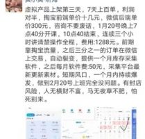 黄小黄淘宝虚拟产品百单玩法，利润对半，短期风口，一个月内持续爆发