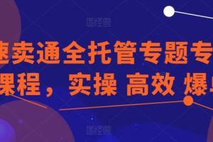 速卖通全托管专题专项课程，实操 高效 爆单